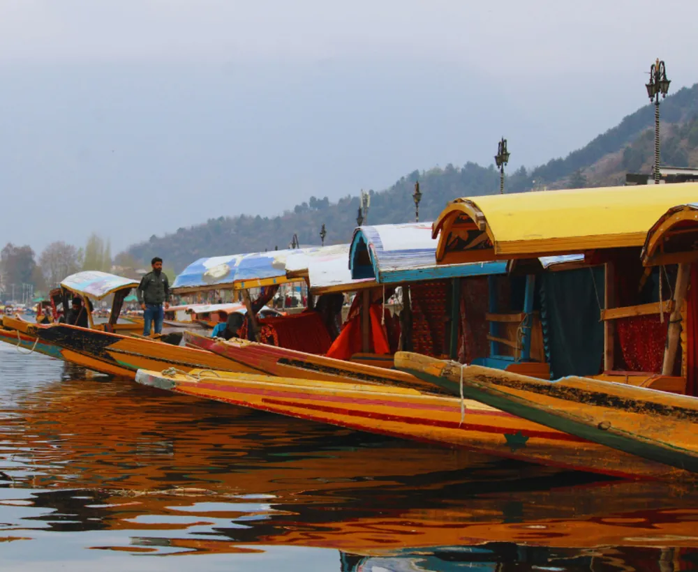 Shikara boats waiting on Dal Lake, Kashmir