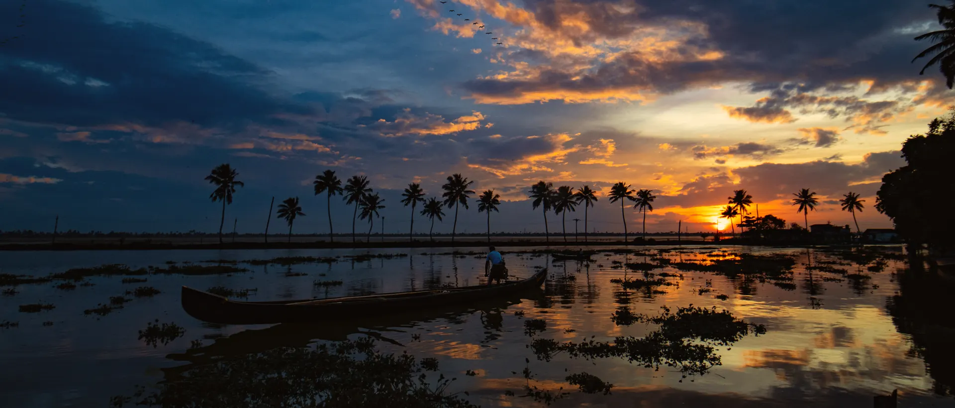 Sunset over the palm-lined backwaters of Kerala