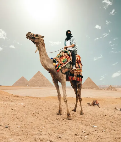 Traveller on a decorated camel in front of ancient pyramids