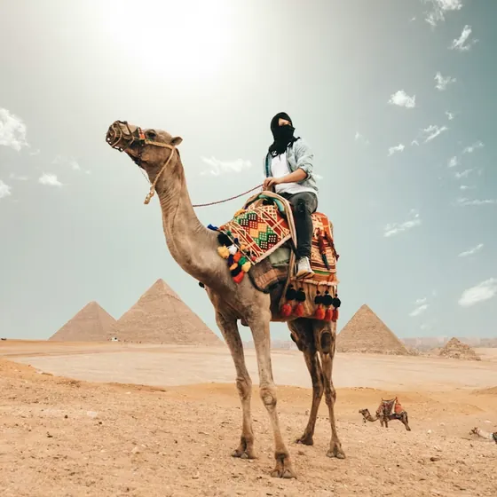 Traveller on a camel in front of the pyramids