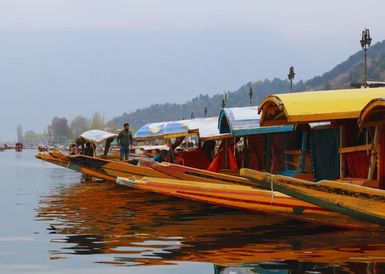 Colourful shikara boats on Dal Lake in Srinagar, Kashmir