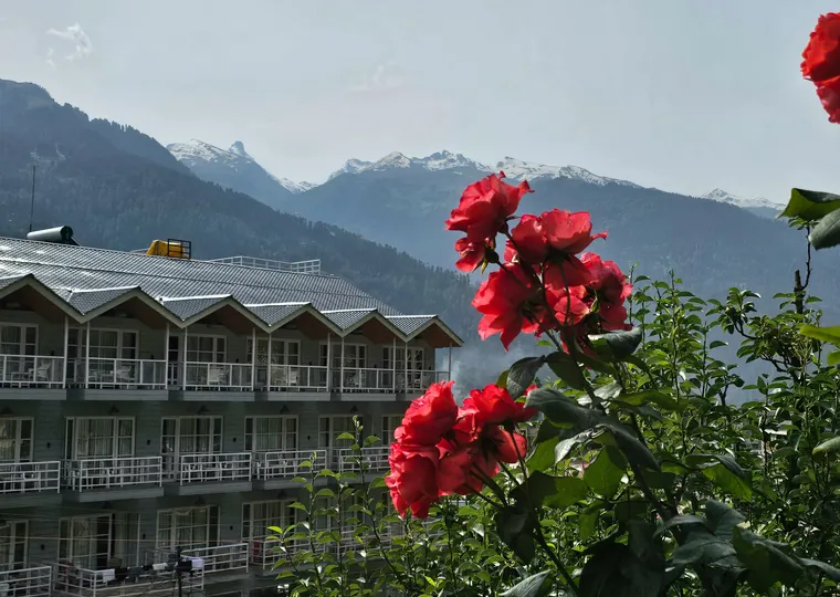 Mountain hotel with red flowers and Himalayan peaks near Manali